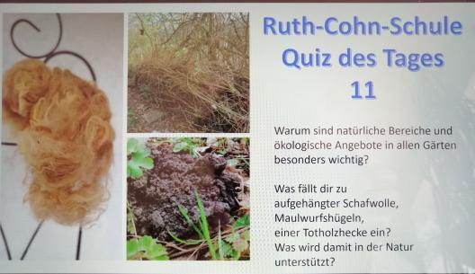 Quiz 11